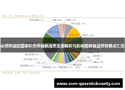 必须知道的国家队伤停最新消息全面解析与影响前瞻备战形势要点汇总